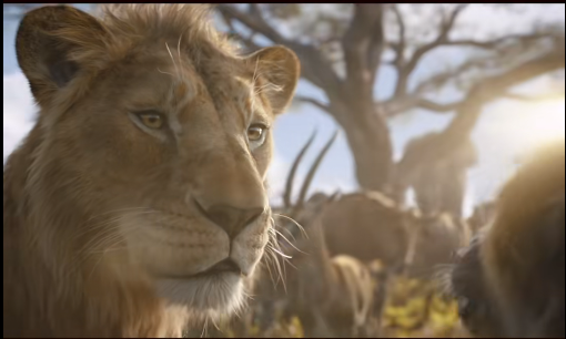 QQ20241216-092436 QQ20241216-092436